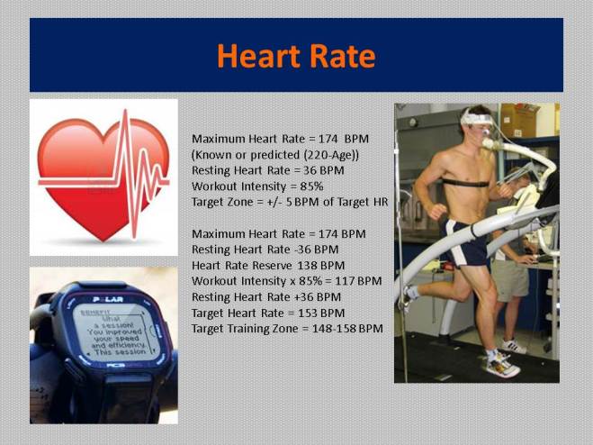 Running On Indy Heart Rate Training Pic